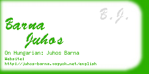 barna juhos business card